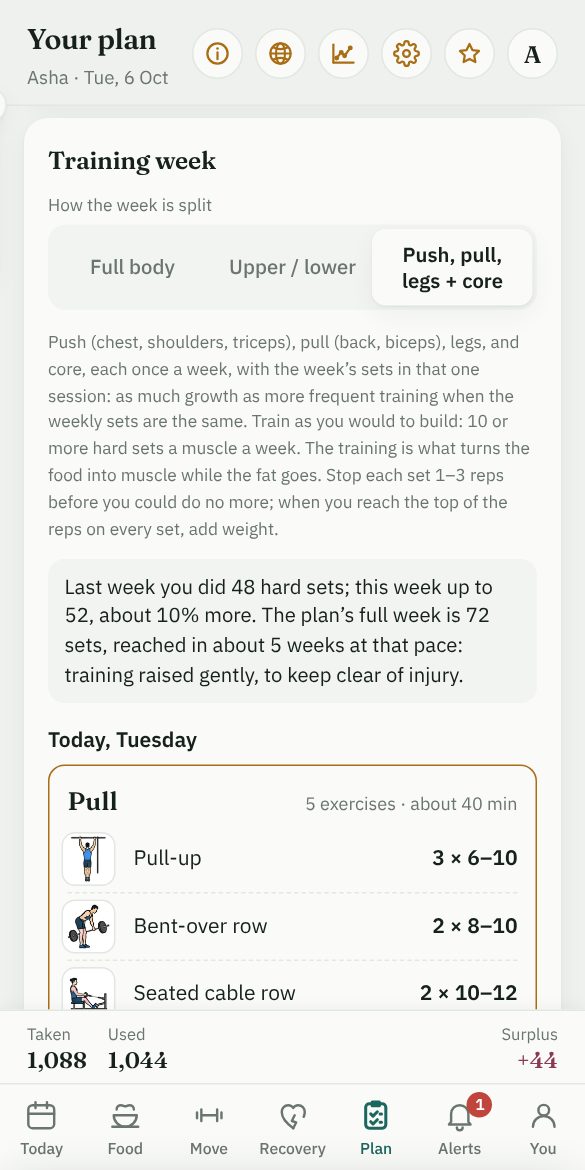 The Plan tab: the week split as push, pull, legs + core, this week&rsquo;s lifting about 10% more than last week, and today&rsquo;s workout, Pull, with its exercises and their sets and reps