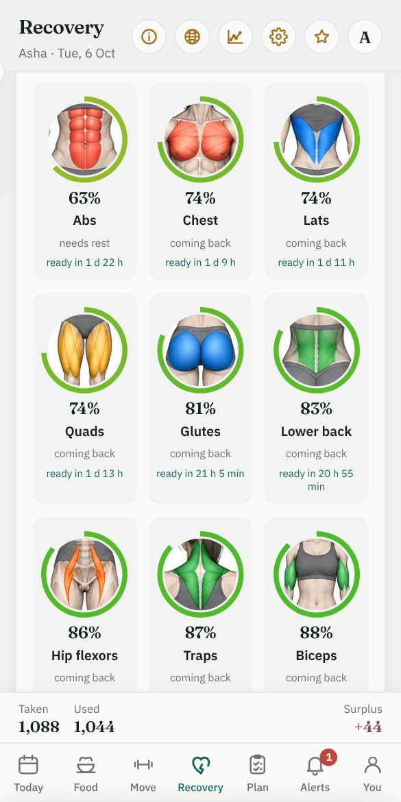 Each muscle with how far it has recovered, in per cent, and the time until it is ready to train again