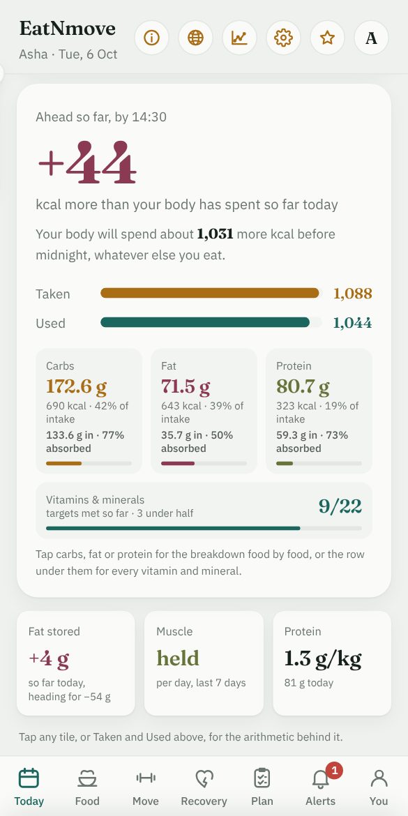 The Today tab: the balance so far today, what was taken and used, carbs, fat and protein, and tiles for fat, muscle and protein